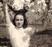 das zu meldende Bild