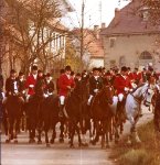 das zu meldende Bild